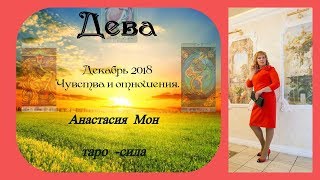 Таро прогноз на декабрь 2018 Дева. Анастасия Мон. Чувства и отношения.