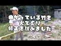 たんぼであそばワークショップ【8月】1日目