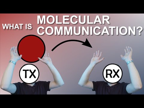 Molecular Communication in a Nutshell