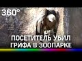 Одноразовая перчатка убила грифа в Московском зоопарке. Виноват посетитель