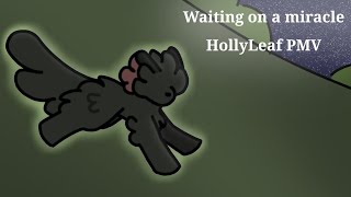 ☆ Waiting On a Miracle - Hollyleaf PMV ☆