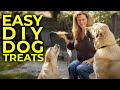 Homemade Dog Treat - Easy DIY Dog Treats Recipe - Grain Free