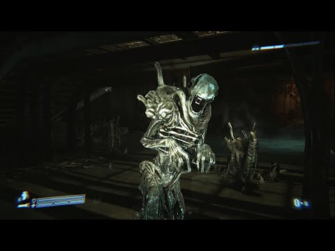 Video: Aliens: Recensione Colonial Marines