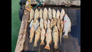 Changi Ah Fong Fishing Trip in Singapore Changi Simple Video Compilation