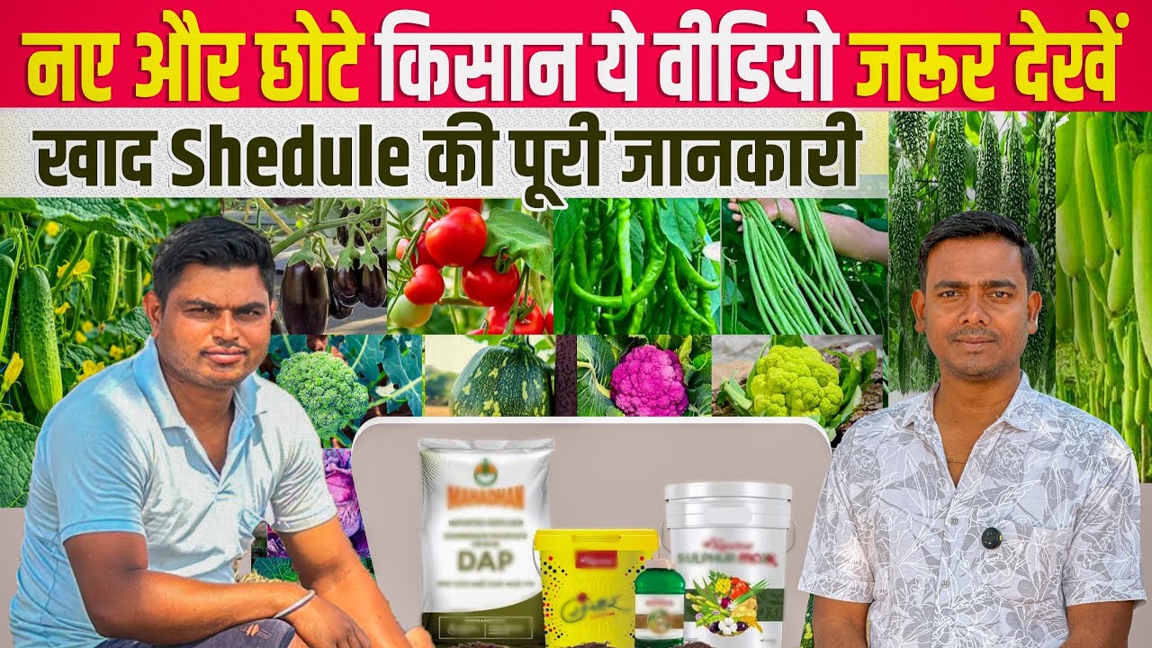 खाद की A to Z पूरी जानकारी | खीरा, टमाटर, बैंगन और करेला के लिए खाद shedule 