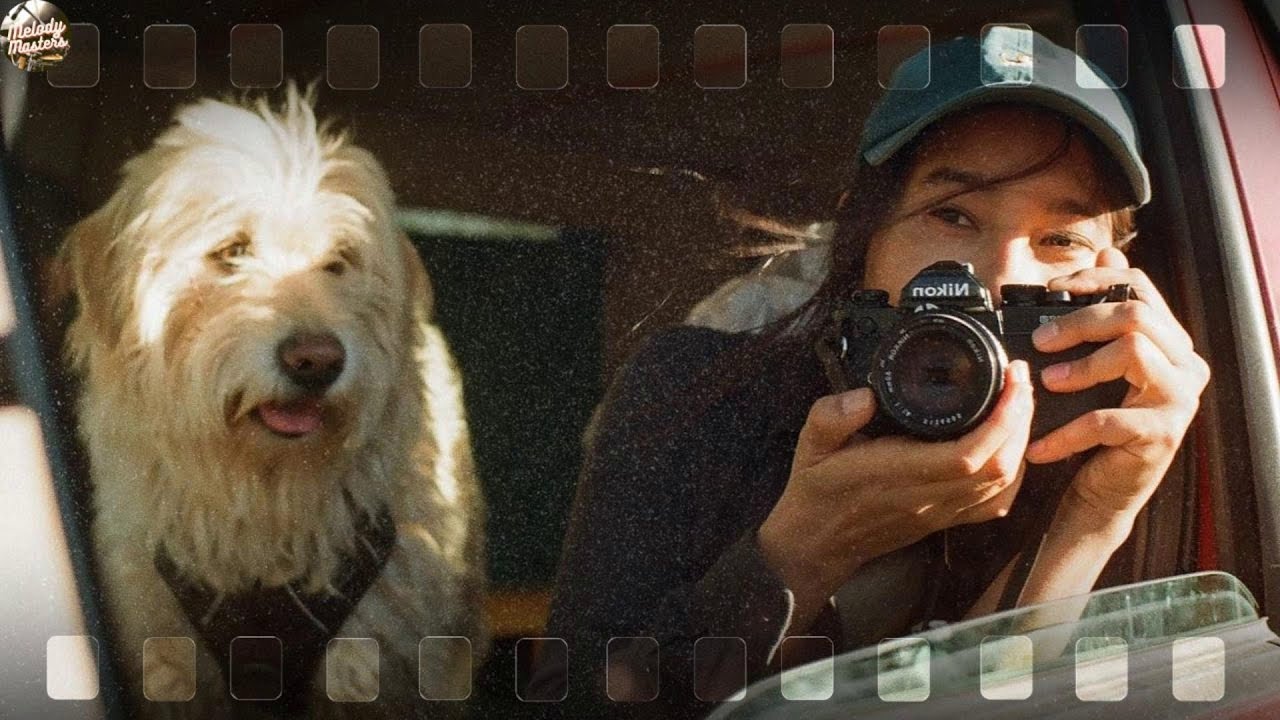 playlist for that one perfect summer day