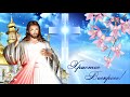 С Пасхой 2021! Христос Воскрес! Красивое видео поздравление с Пасхой! С Пасхой открытки.