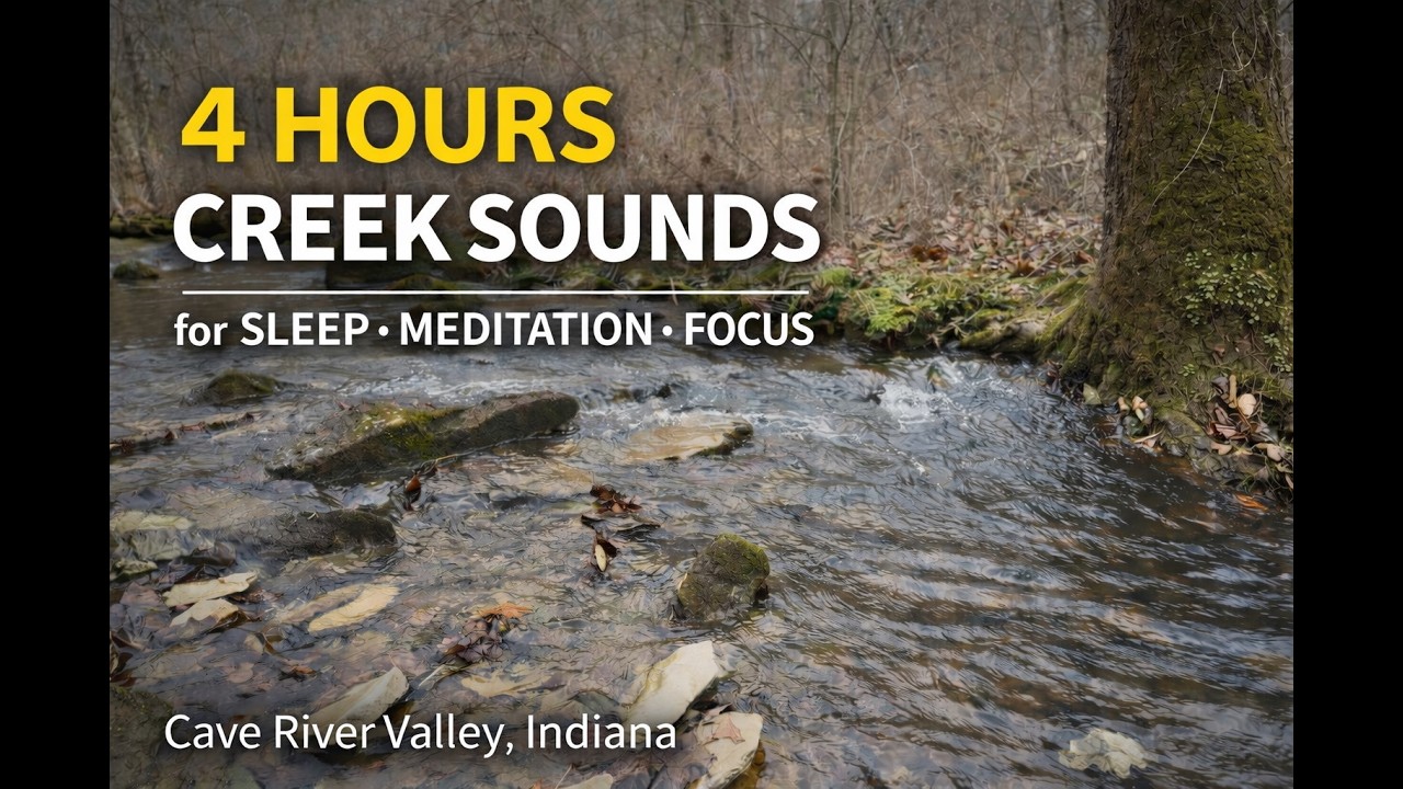 Peaceful Creek Sounds for Sleep, Study & Meditation | Cave River Valley | 4 Hours