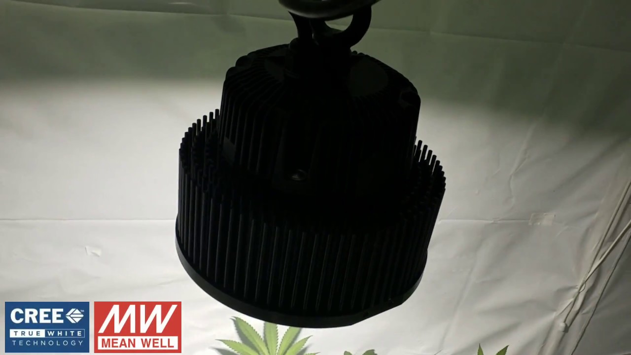 Photoperiod Grow Room - Upcoming Side by Side Grow - Optic 1 XL 100w COB vs Optic 1 54w COB