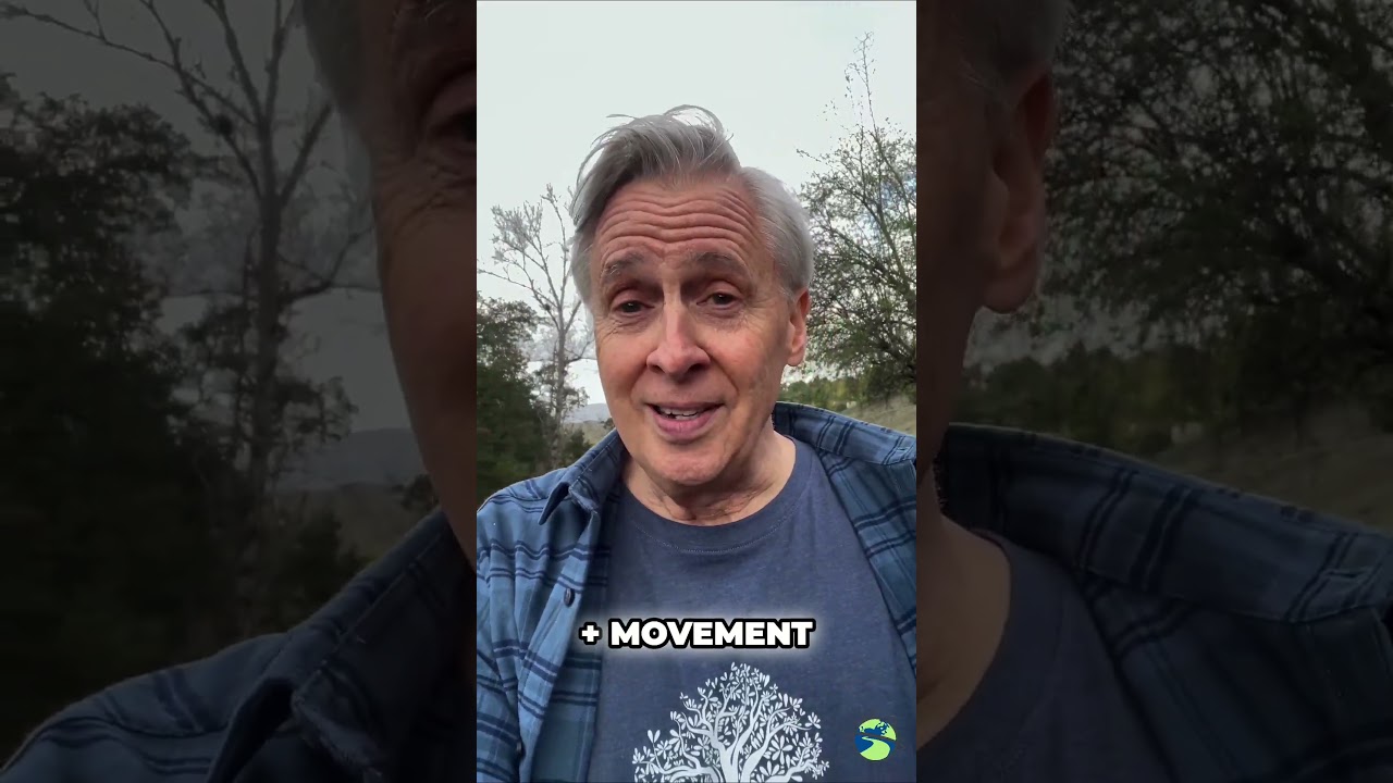 🎙 New Episode! → Why Wandering is the Key to Clarity & Creativity 🌿