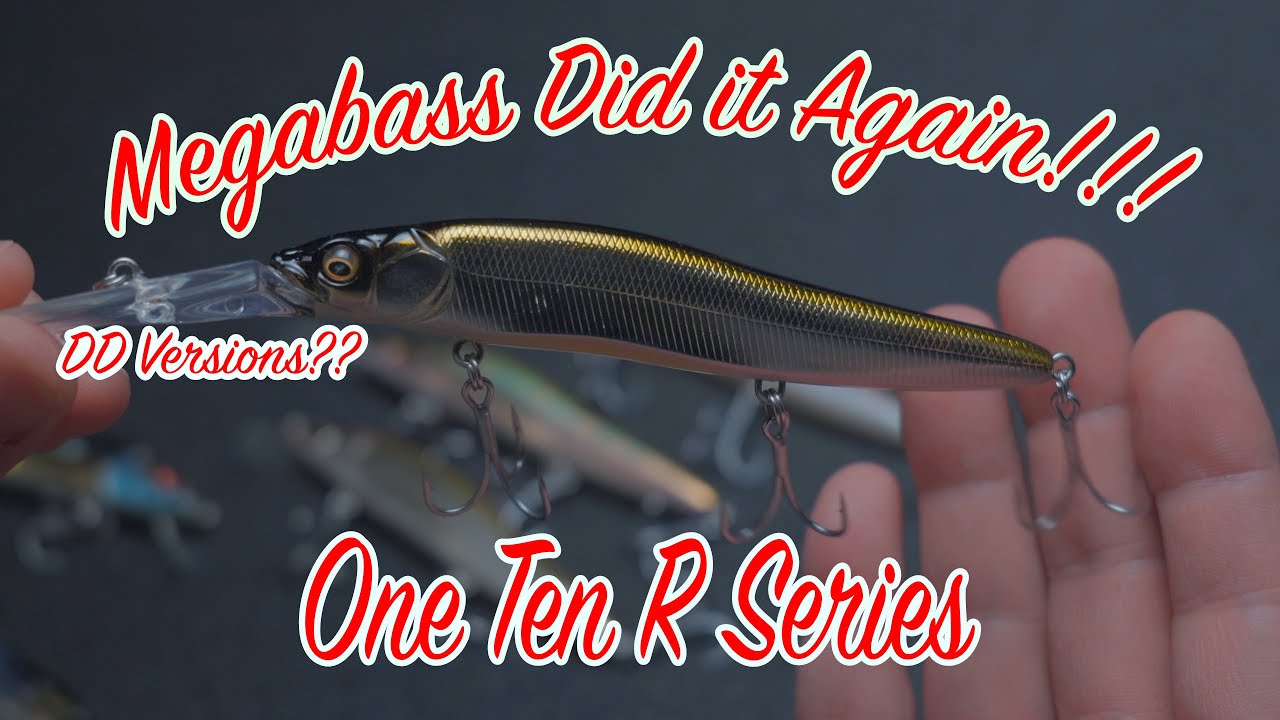 Is the MEGABASS 110 Type R BETTER than the ORIGINAL VISION 110?? 