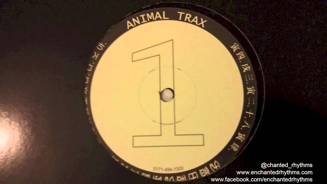 Animal Trax Vol 1 Untitled B1 // Animal Trax YouTube