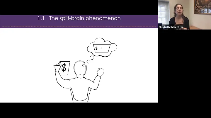 Self-Consciousne...  After Split-Brain Surgery: El...