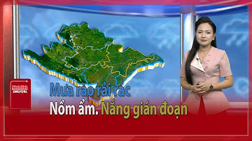 Mưa rào rải rác. Nồm ẩm. Nắng gián đoạn | Ninh Bình Digital