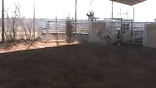 368 mpggb 329x818 23