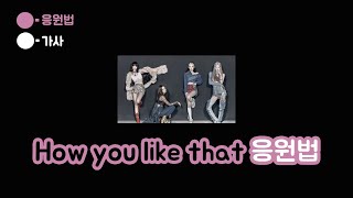 블랙핑크 How you like that 응원법 (BLACKPINK How you like that fanchant)