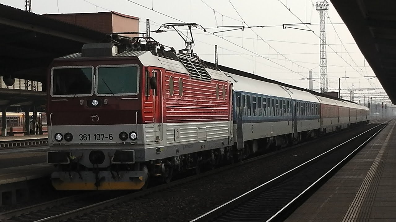 第一ネット S TＡ R C k49口19.145. SＨ3057/0001 | vrticiada.rs