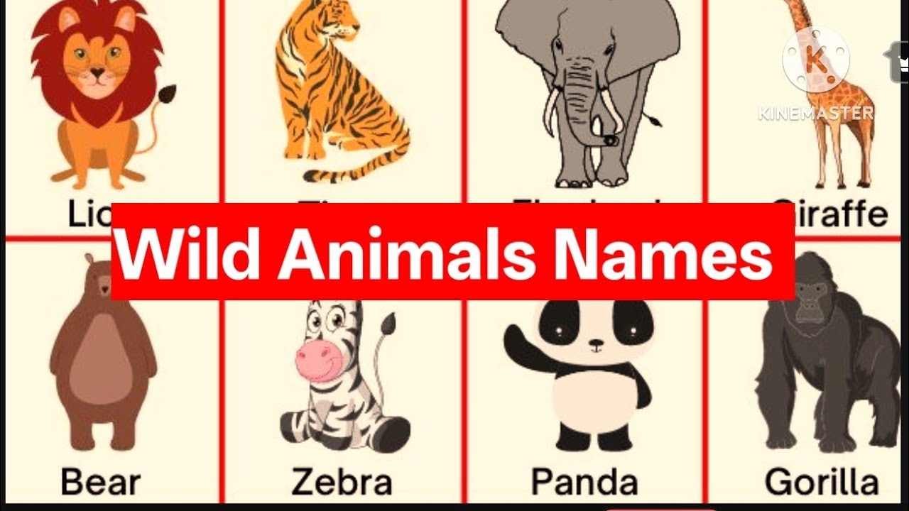Wild Animals Vocabulary || 150 Wild Animals Names In English With ...