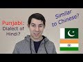 Punjabi: A Dialect of Hindi Similar to Chinese?