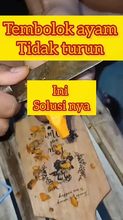 cara mengobati ayam sakit tembolok tidak turun
