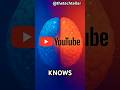 We Finally Understand YouTube's Recommendation System