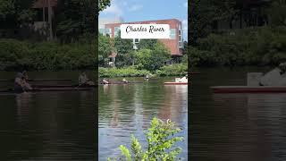 #boston #massachusetts #travel #travelvlog #travelling #travelphotography #trending #bestmoments