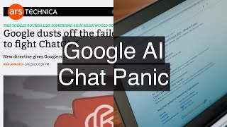 Google AI Chat Panic