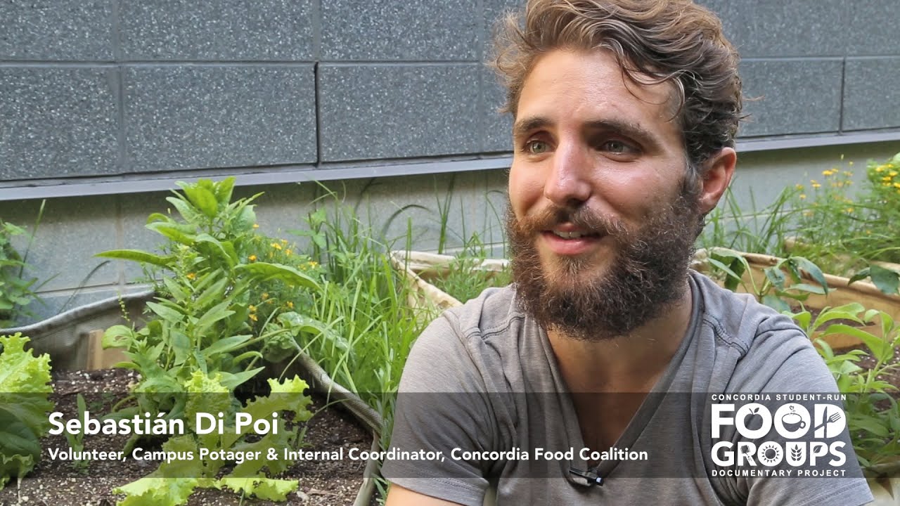 Sebastián Di Poi on how to get involved in the student run food system at Concordia concordia university jobs