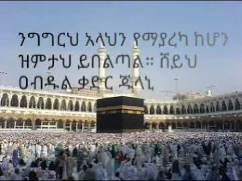 ሸይህ ዐብዱል ቃድር ጂላኒ