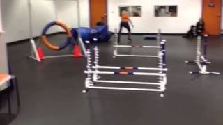 Agility 3