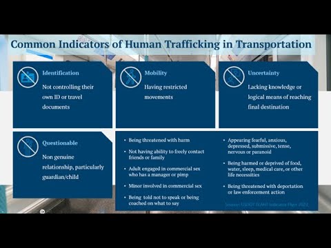 Steering Towards Awareness: Combating Human Trafficking in the ...