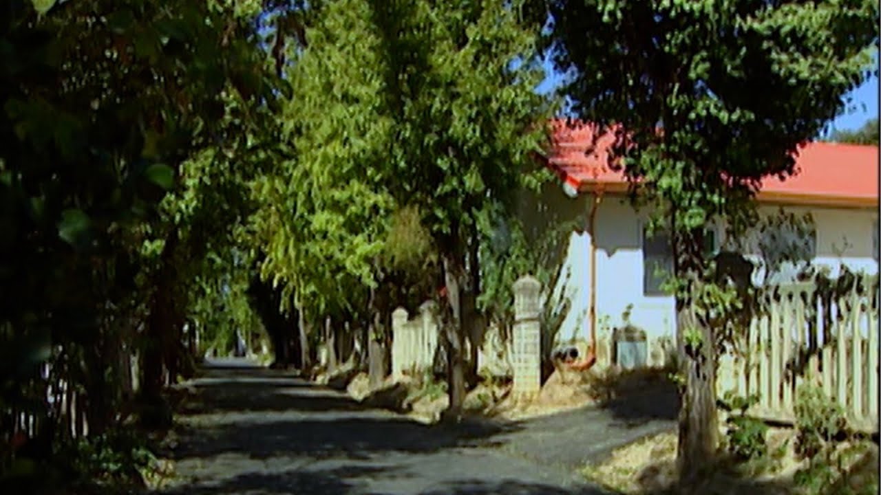 The Surreal State of Life in the Korean DMZ | Freedom Village (2005)