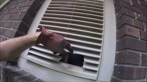 Attic Vent Squirrels: Squirrel Removal via One-Way Door Trap