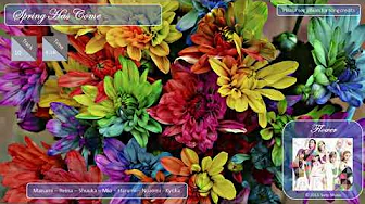 Flower / Hanadokei / Spring Has Come (Audio) Flower / Hanadokei / Spring Has Come (Audio)