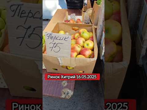 ціни на яблука
