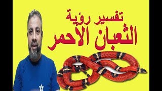 تفسير رؤية حلم الثعبان الأحمر في المنام / اسماعيل الجعبيري