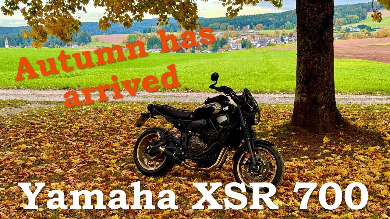 XSR 700 | BlackForest Autumn Beauty | Part 1 🍂