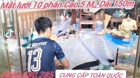 luoi danh ca duy chien -luoi danh ca chep-ca lang-ca me-ca tra-ca tram-ca ec- ca chem
