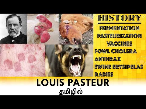 Contribution of Louis Pasteur to Microbiology / History of Microbiology / Pasteurization / Tamil