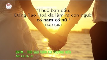 Suy niệm Lời Chúa | Thứ Sáu tuần XIX Thường Niên | Mt 19,3-12 | Lm Ant. Nguyễn Cao Siêu SJ