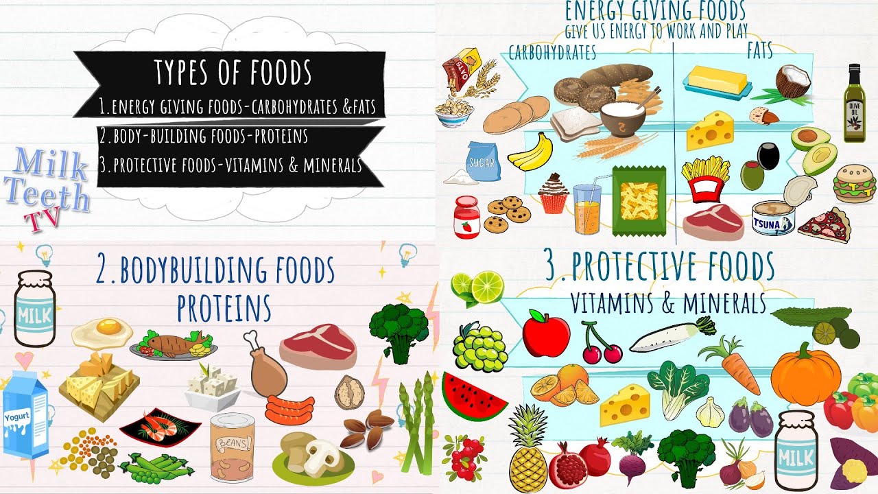 Types Of Foods - Energy Giving Foods / Bodybuilding Foods / Protective Foods  / Food Groups For Kids - Youtube
