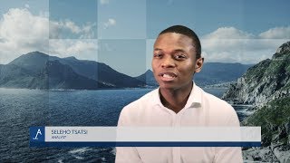 Investment Thesis - Sappi
