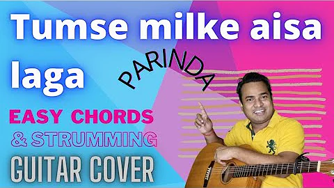 Tumse milke aisa laga | Parinda | Easy chords and strumming | Guitar Cover & Lesson