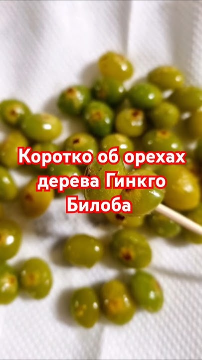 Орехи Гинкго Билоба #корейскаяеда #жизньвдеревне #рецепты #южнаякорея # ...
