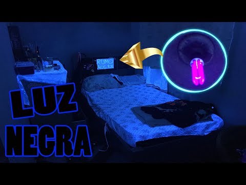 COLOQUEI LUZ NEGRA NO MEU QUARTO *olhem como ficou* ‹ Lucas Fernandes ›