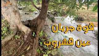 قوة جريان عين مياه قشروب بولاية مرباط..رحلة اليوم .. جمال طبيعة ظفار..سلطنة عمان  Oman-Dhofar