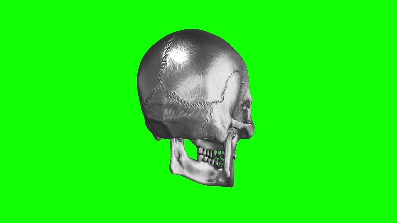 [4K] Rotating Skull Green Screen YouTube