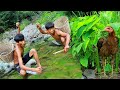 Survival in the rainforest-mans found chicken for grilled -Eating delicious