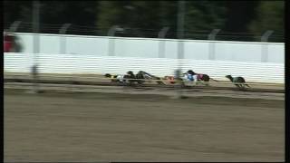 SLE SUN 12 JAN 14 R2