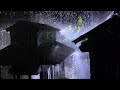 Cure Insomnia with Pouring Rain on Corroded Tin Roof in Gloomy Forest at Night 💤 #rainsounds